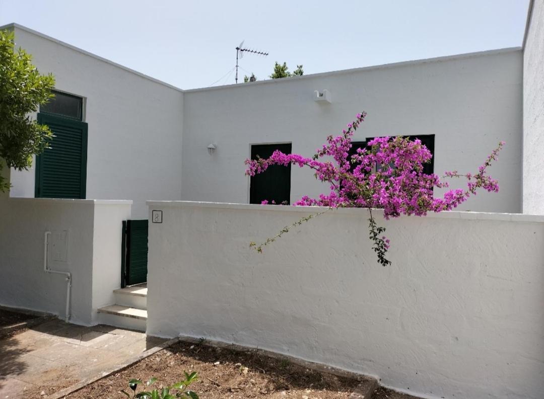 فيلا Casa Azzurra كونكا سبيكيولا المظهر الخارجي الصورة