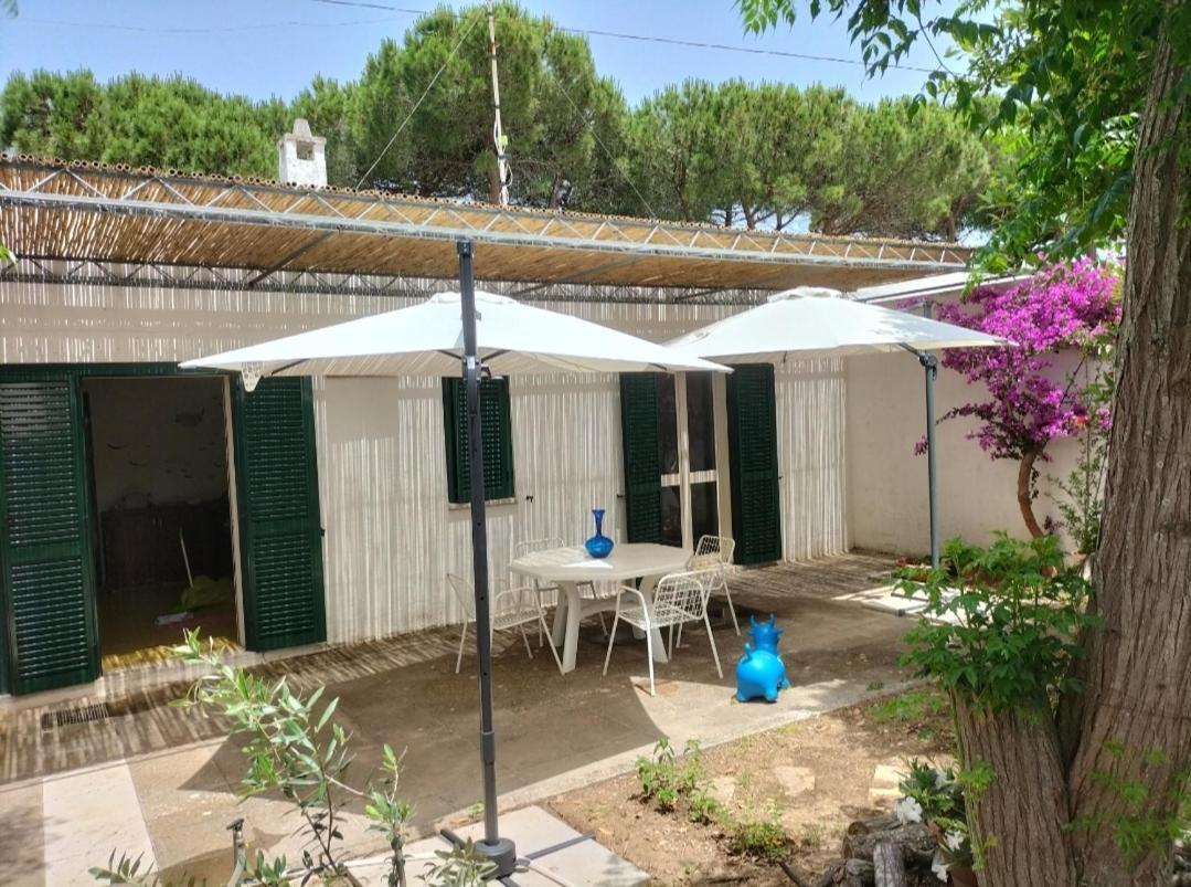فيلا Casa Azzurra كونكا سبيكيولا المظهر الخارجي الصورة