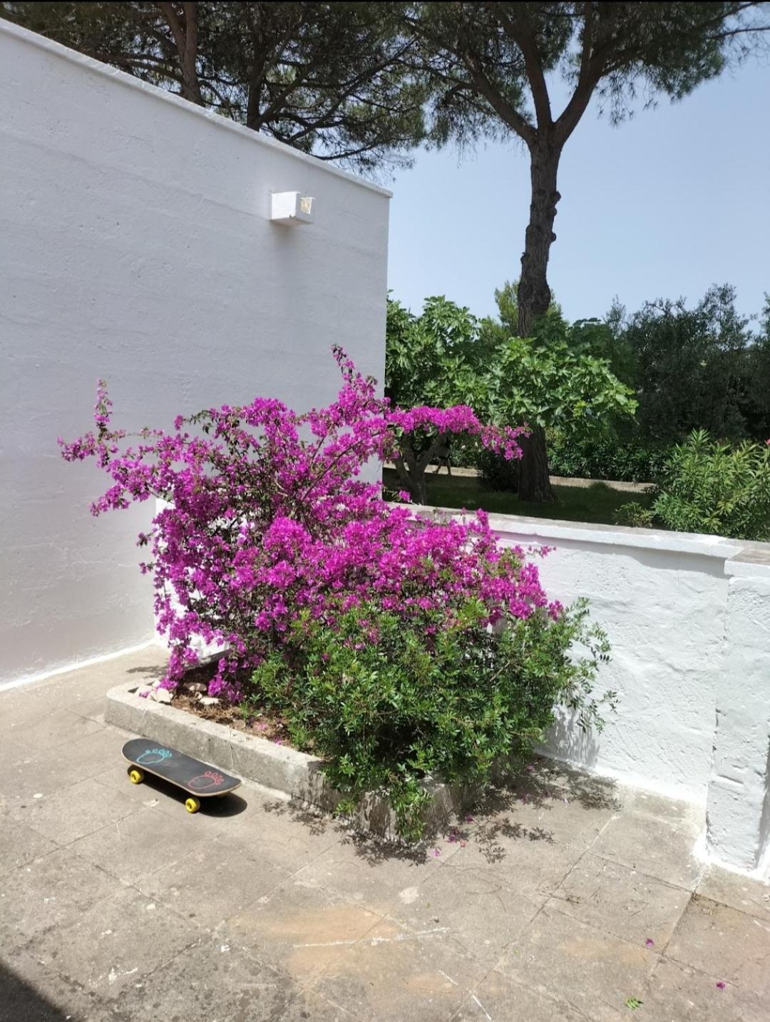 فيلا Casa Azzurra كونكا سبيكيولا المظهر الخارجي الصورة